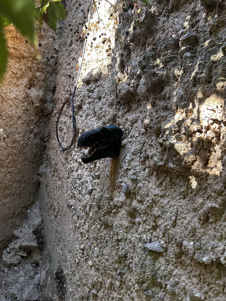 Cabeza de dinosaurio que asoma por un muro del jardín